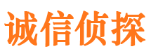 宁阳市侦探公司